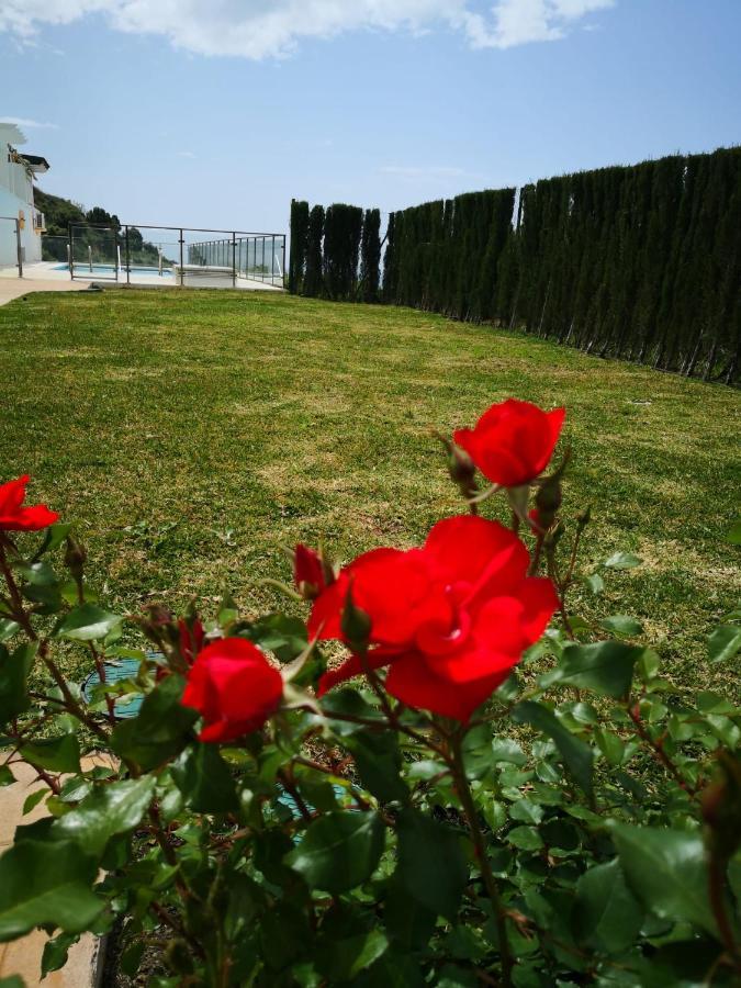 Apartmán Dana I Eurogolf, Vistas, Wifi, Piscina Y Parking Benalmádena Exteriér fotografie